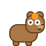 Capy the capybara
